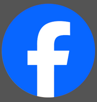 Social icon 2